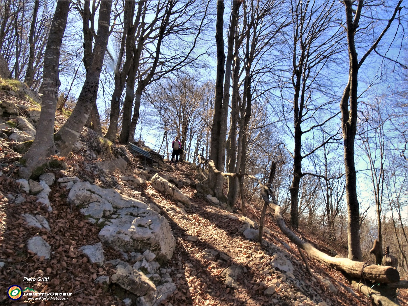 66 Sul sentiero per il Monte Tesoro.JPG -                                